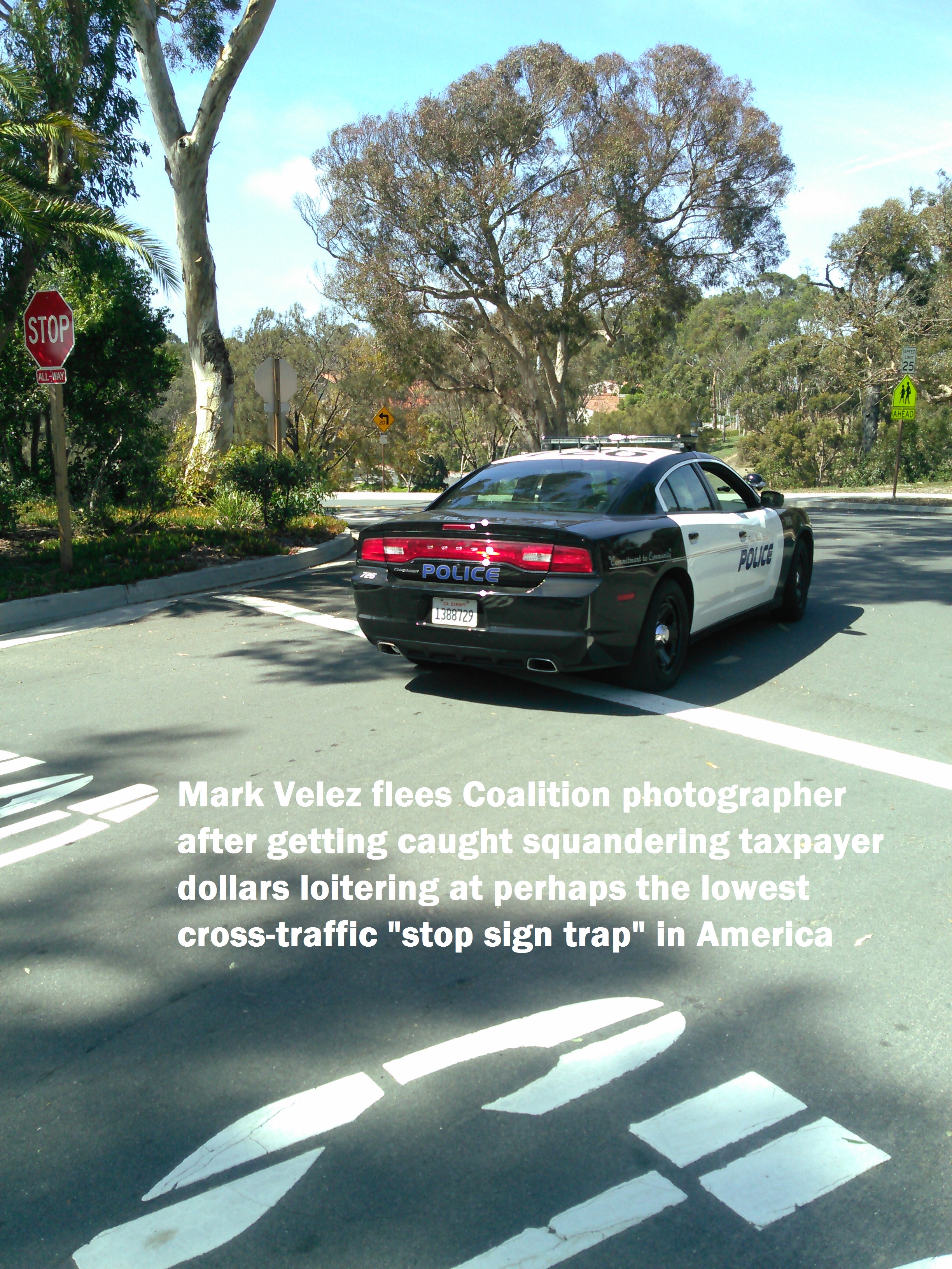 Captain Hunch? Mark Velez, supported one link up the chain of command by Chief Jeff Kepley, relaxed in the shade at this highly frequently PVEPD loitering spot until chased off by a disgusted PVE resident (lower PV Drive West and Via Almar, one convenient block from station)